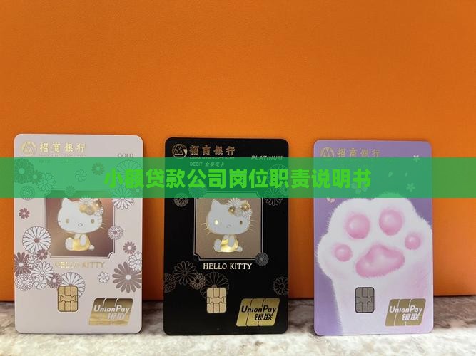 小额贷款公司岗位职责说明书