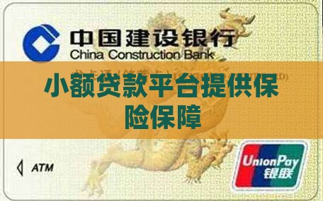 小额贷款平台提供保险保障