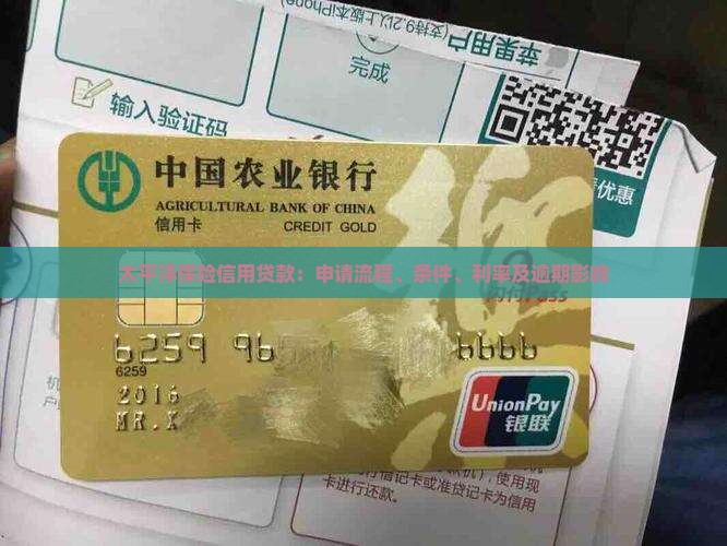 太平洋保险信用贷款：申请流程、条件、利率及逾期影响