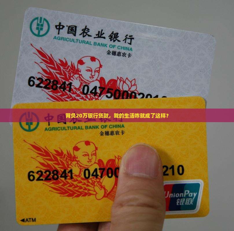 欠20万银行贷款