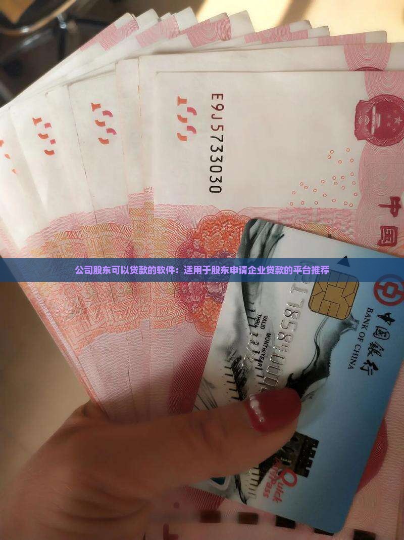 公司股东可以贷款的软件