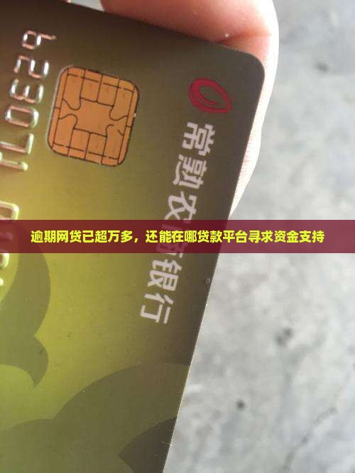 网贷1万多还能在哪贷款