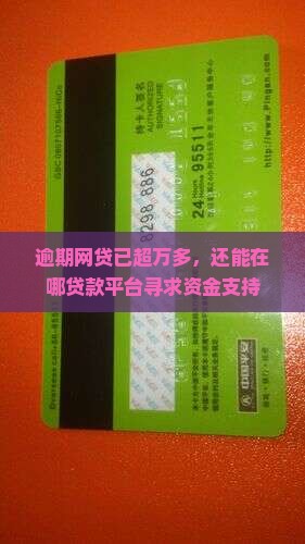网贷1万多还能在哪贷款