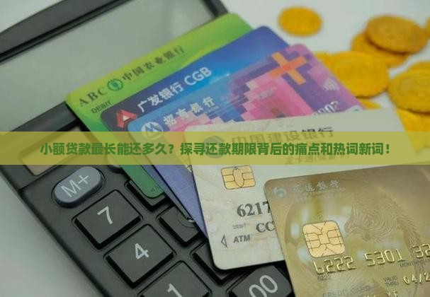 小额贷款最长能还多久