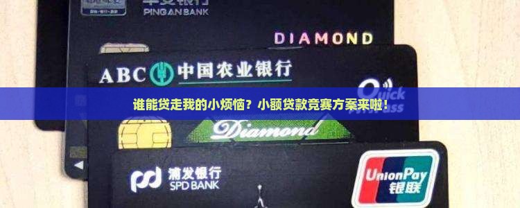 小额贷款竞赛方案