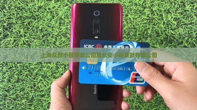 上海众颜小额贷款