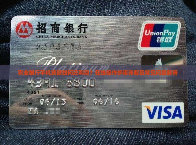 农业银行手机贷款还利息