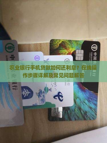 农业银行手机贷款还利息