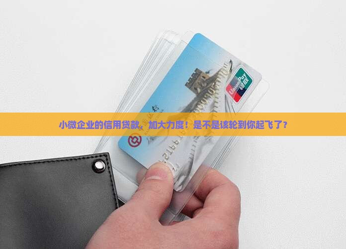 加大小微企业信用贷款
