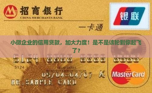 加大小微企业信用贷款