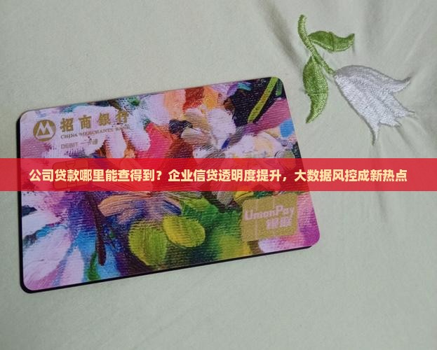 公司贷款哪里能查得到