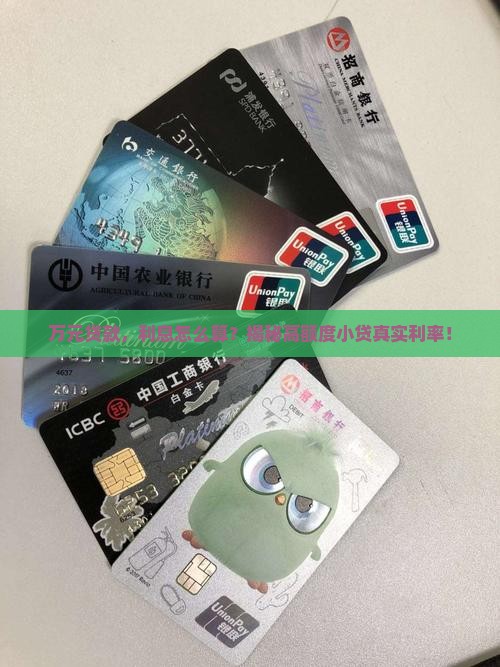 万元以上的小额贷款利率