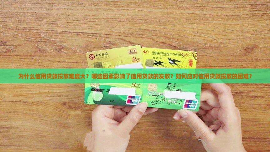 信用贷款投放难度大