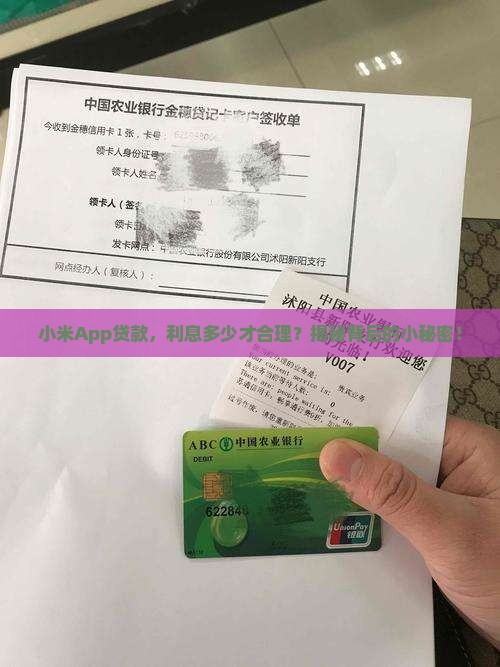 小米app贷款利息