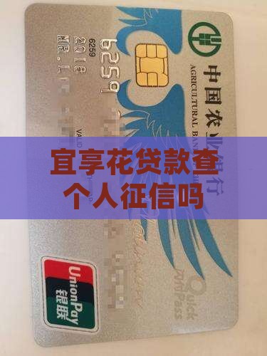 宜享花贷款查个人征信吗