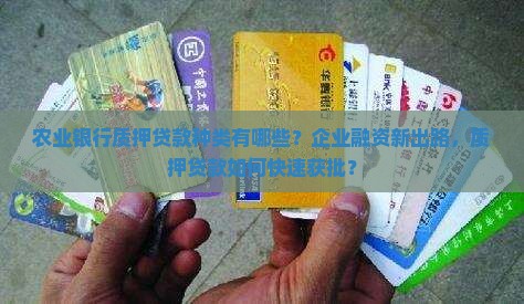 农业银行质押贷款种类