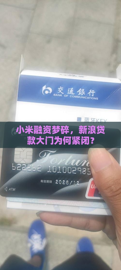 小米新浪贷款全部被拒