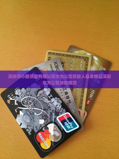 华为公司贷款人基本情况