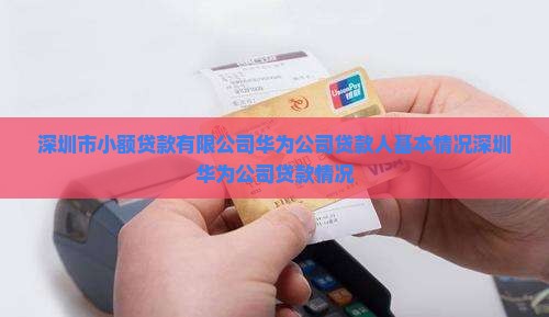 华为公司贷款人基本情况
