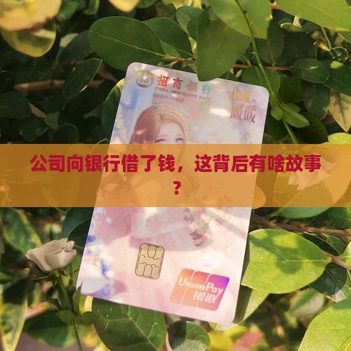公司的银行贷款