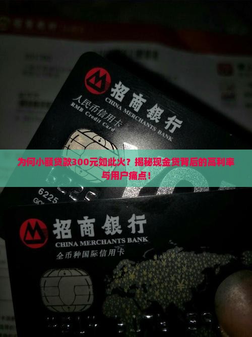 小额贷款300元左右