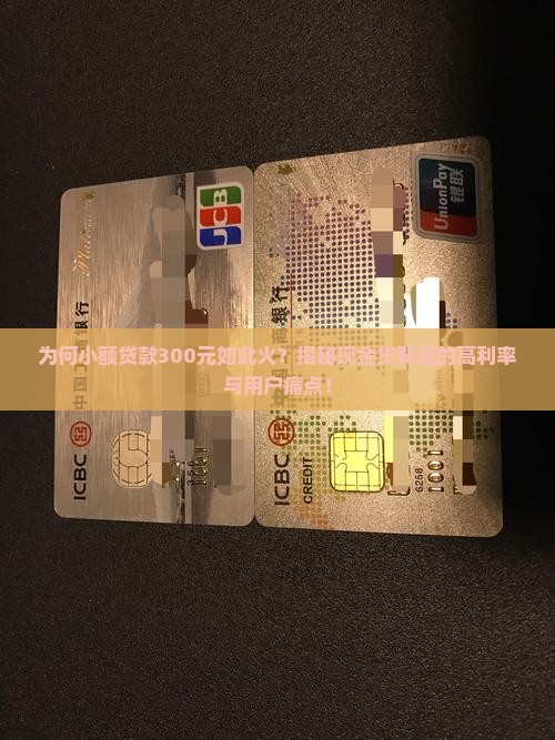 小额贷款300元左右