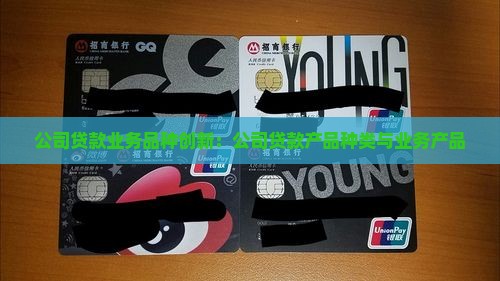 公司贷款业务品种创新