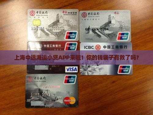 上海中远海运小额贷款app