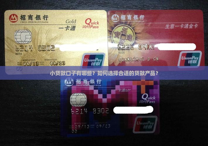 小贷款口子有哪些