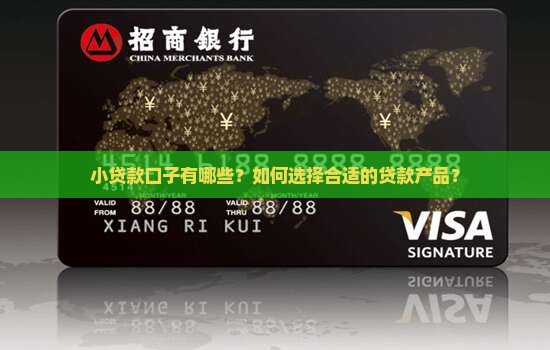 小贷款口子有哪些