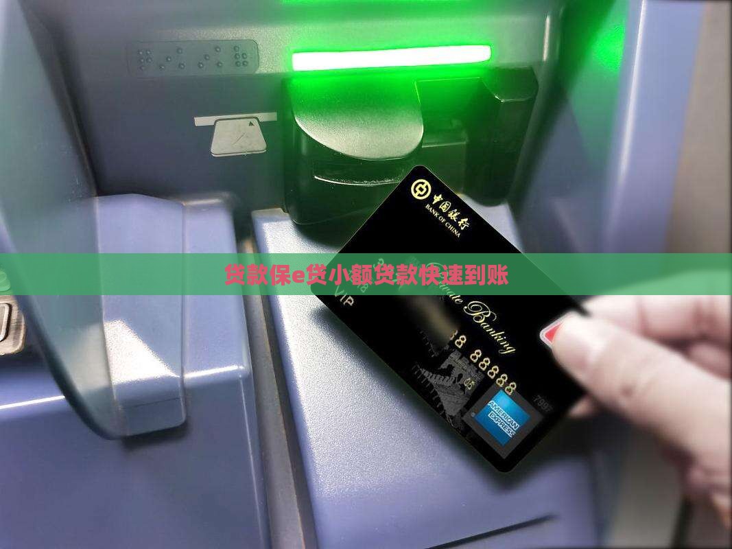 保e贷小额贷款到账