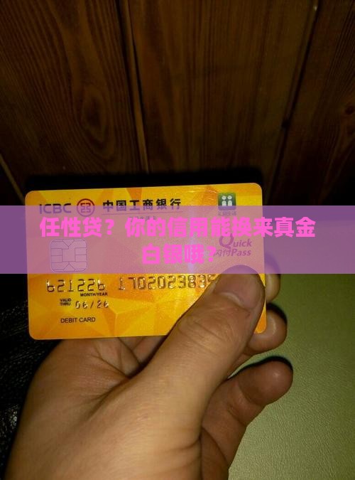 任性贷的信用贷款