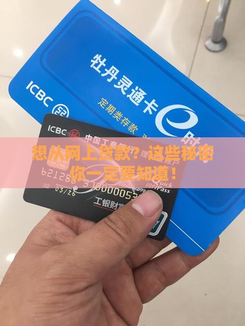 怎么从网络上贷款吗