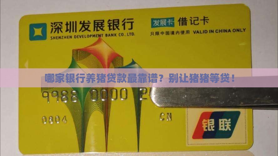 养猪贷款哪个银行