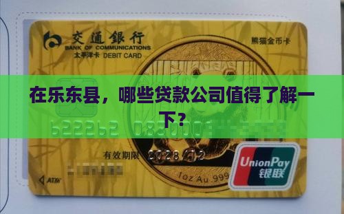 乐东县贷款机构有哪些公司