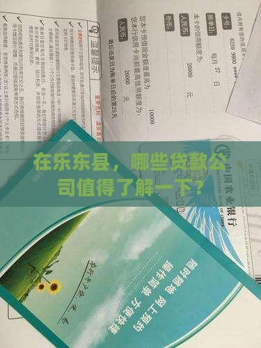 乐东县贷款机构有哪些公司