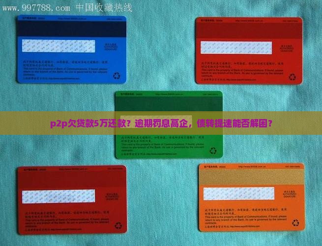 p2p欠贷款5万还款