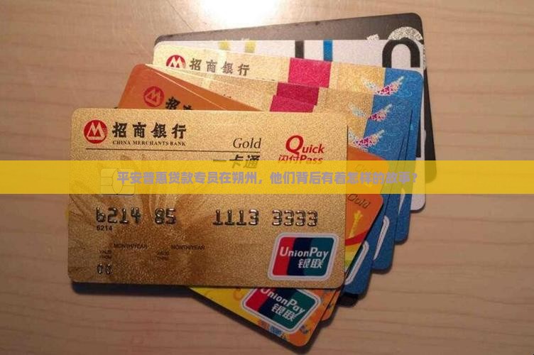 平安普惠贷款专员朔州