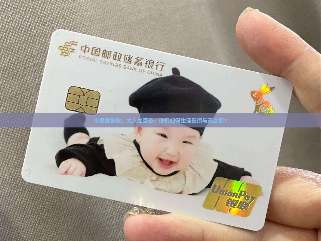 小额贷款职业现状