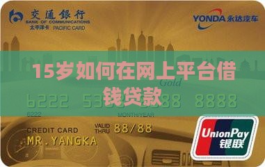 15岁如何网上贷款
