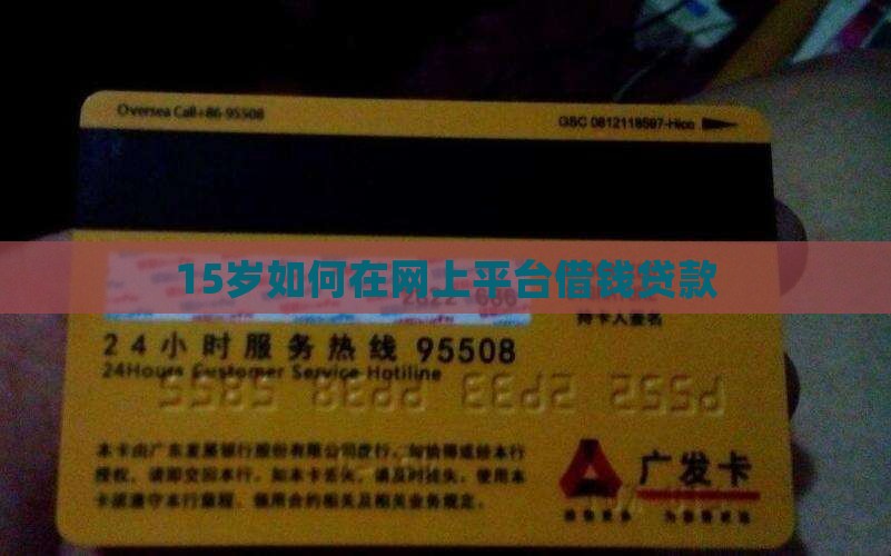 15岁如何网上贷款