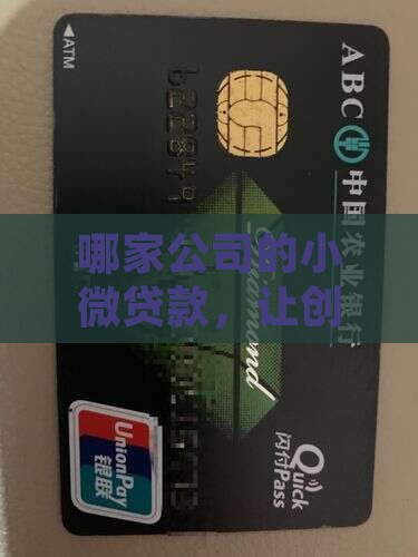 小微贷款叫什么公司名字