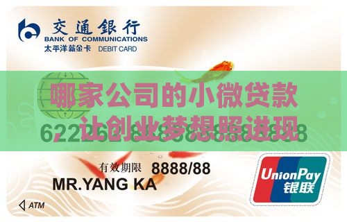 小微贷款叫什么公司名字