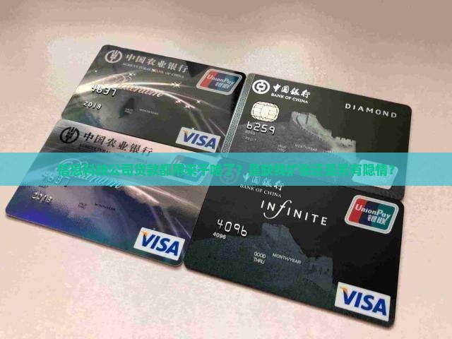 信息科技类公司贷款用途
