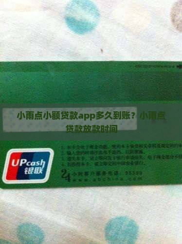 小雨点小额贷款app多久到账