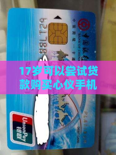 17岁想贷款买手机