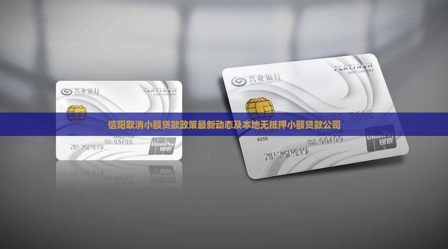 信阳取消小额贷款政策