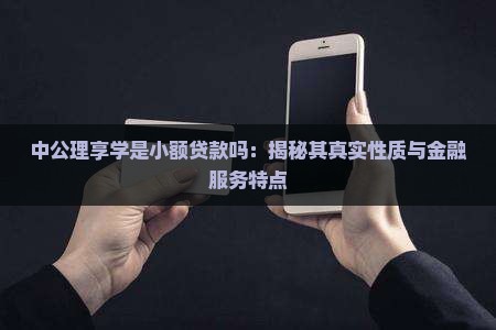 中公理享学是小额贷款吗