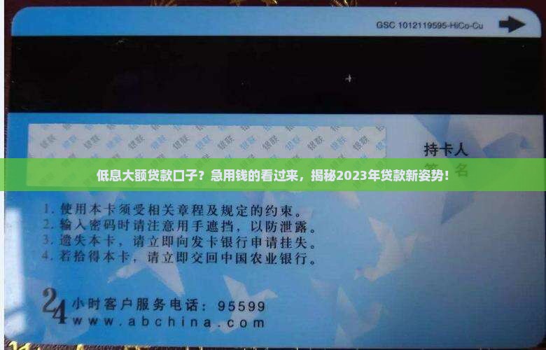 低息大额贷款口子