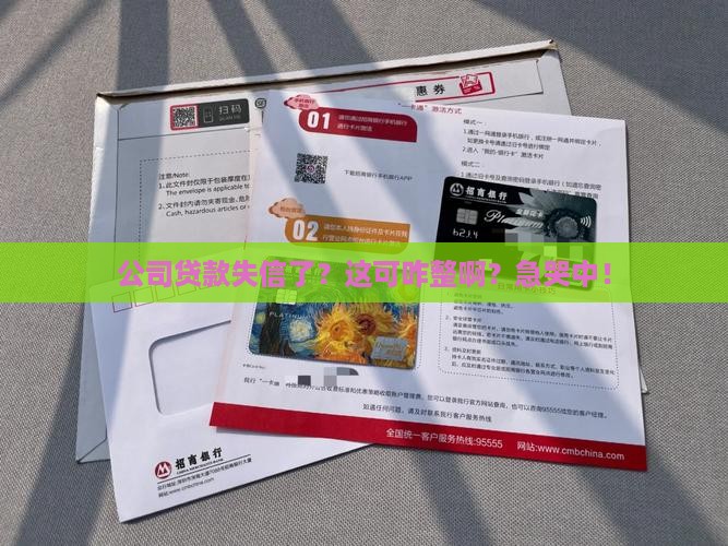 公司贷款失信了怎么办啊